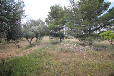 Landejendom i Calimera, Lecce, Calimera - € 135.000 | Ref:  CR001 - foto 17